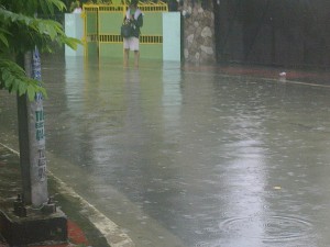 Flood2